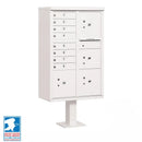 Salsbury Cluster Box Unit with 8 Doors and 4 Parcel Lockers - USPS Access – Type VI