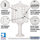 Salsbury Regency Decorative Cluster Box Unit with 12 Doors and 1 Parcel Locker - USPS Access – Type II