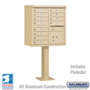 Salsbury Cluster Box Unit with 12 Doors and 1 Parcel Locker - USPS Access – Type II