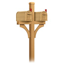 Salsbury Heavy Duty Rural Mailbox and Double Deluxe Post